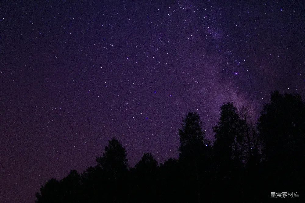 高清摄影 夜空 星空 自然 宁静 户外 夜空下的树梢