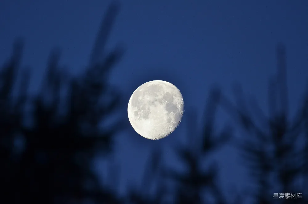 高清摄影 月亮 夜景 自然 宁静 月亮的光辉 夜空中的满月