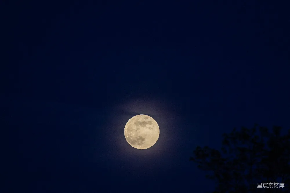 高清摄影 夜空 月亮 宁静 自然 摄影 静谧夜空下的圆月