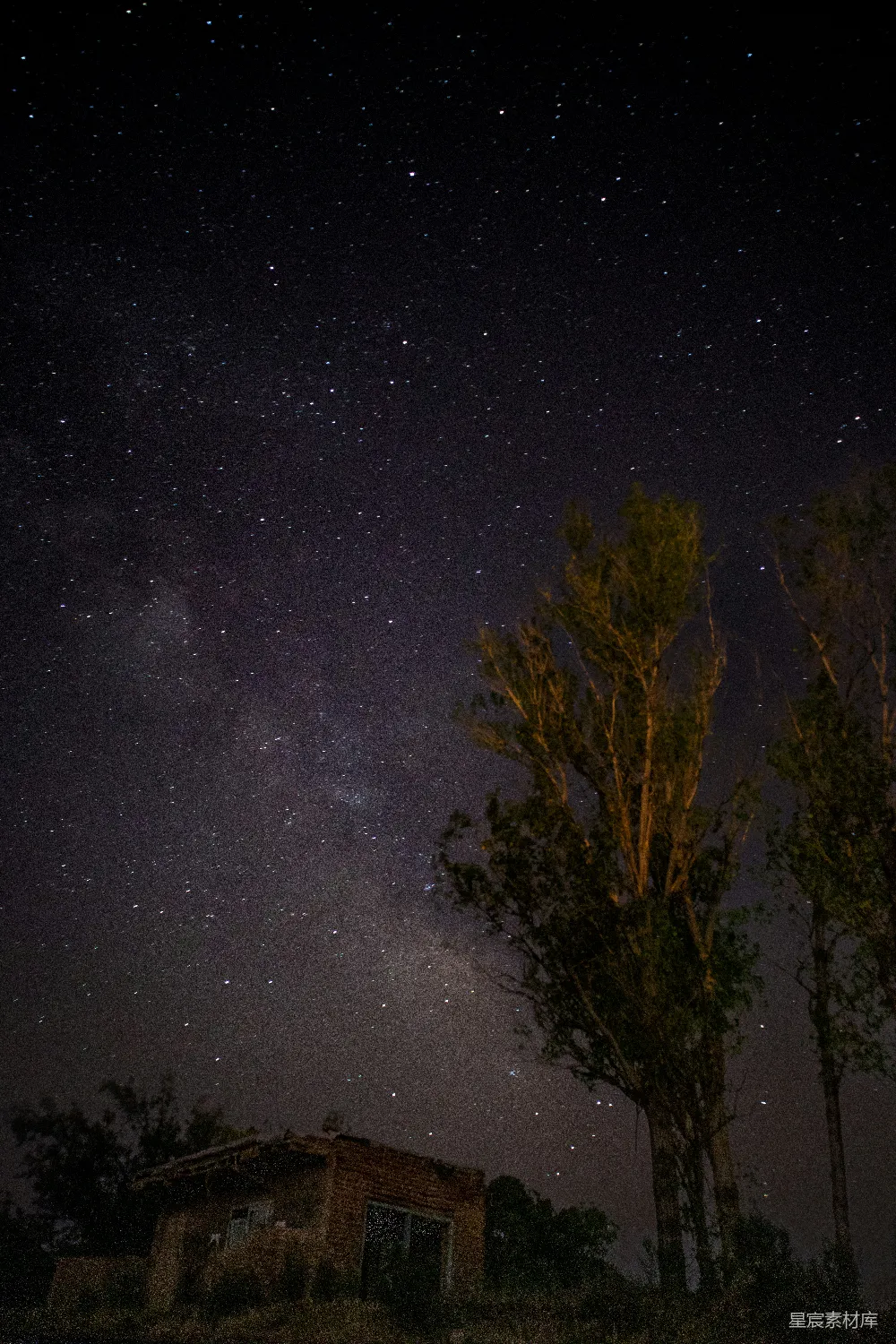 这张图片展示了一片宁静的夜景，满天的星星点缀在深邃的夜空中。画面中央有一棵高大的树木，树下是废弃的小屋，墙皮剥落，窗户紧闭，给人一种荒凉而又神秘的感觉。这幅画面适合用于展示自然风光、夜景摄影或废弃建筑主题。