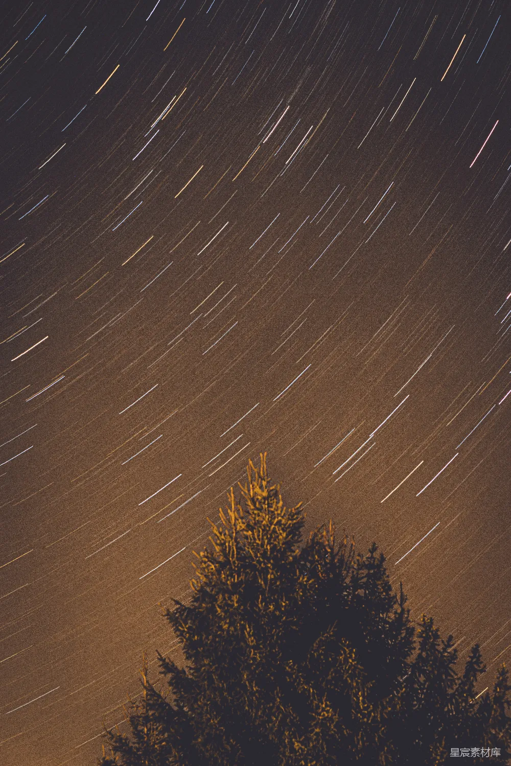 这张图片展示了夜空中星星的轨迹，形成了一条条明亮的线，背景是深邃的夜空。前景中是一棵高大的树木，树梢在星轨的衬托下显得更加突出。整幅画面给人一种宁静而神秘的感觉，适合用作自然风光或夜景摄影的素材。