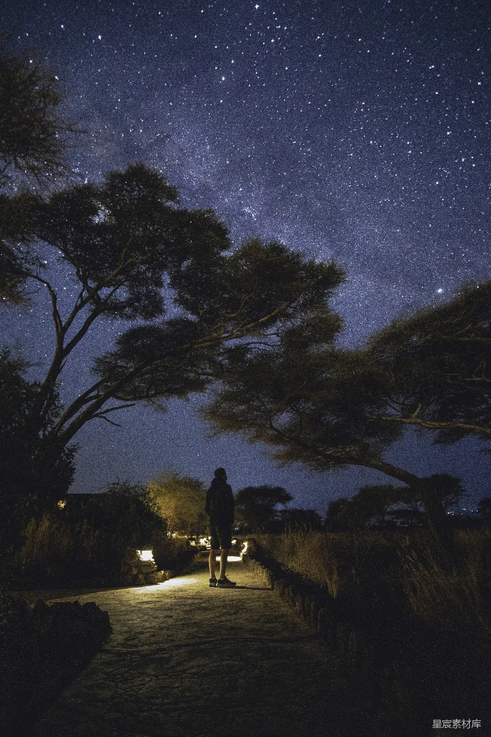 高清摄影 夜景 星空 孤独 自然 摄影 夜空下的独行者
