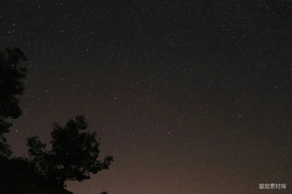 高清摄影 夜空 星星 树影 宁静 自然 夜空中的星星与树影