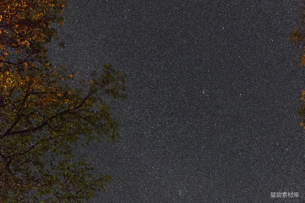 高清摄影 夜空 星空 树影 宁静 自然 夜空中闪烁的星辰与树影