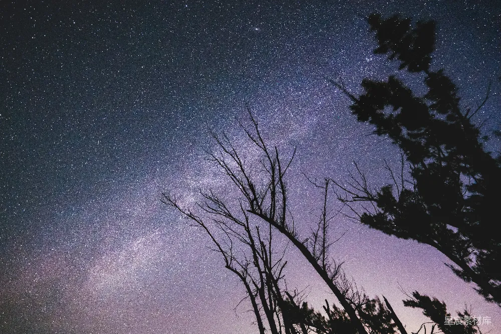 高清摄影 夜空 银河 剪影 自然 宁静 银河璀璨夜空下的剪影