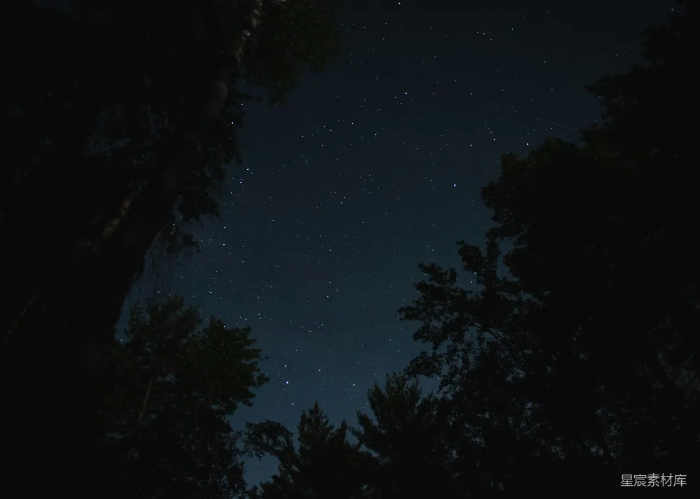 高清摄影 夜景 星空 树影 宁静 自然 夜空下的树影