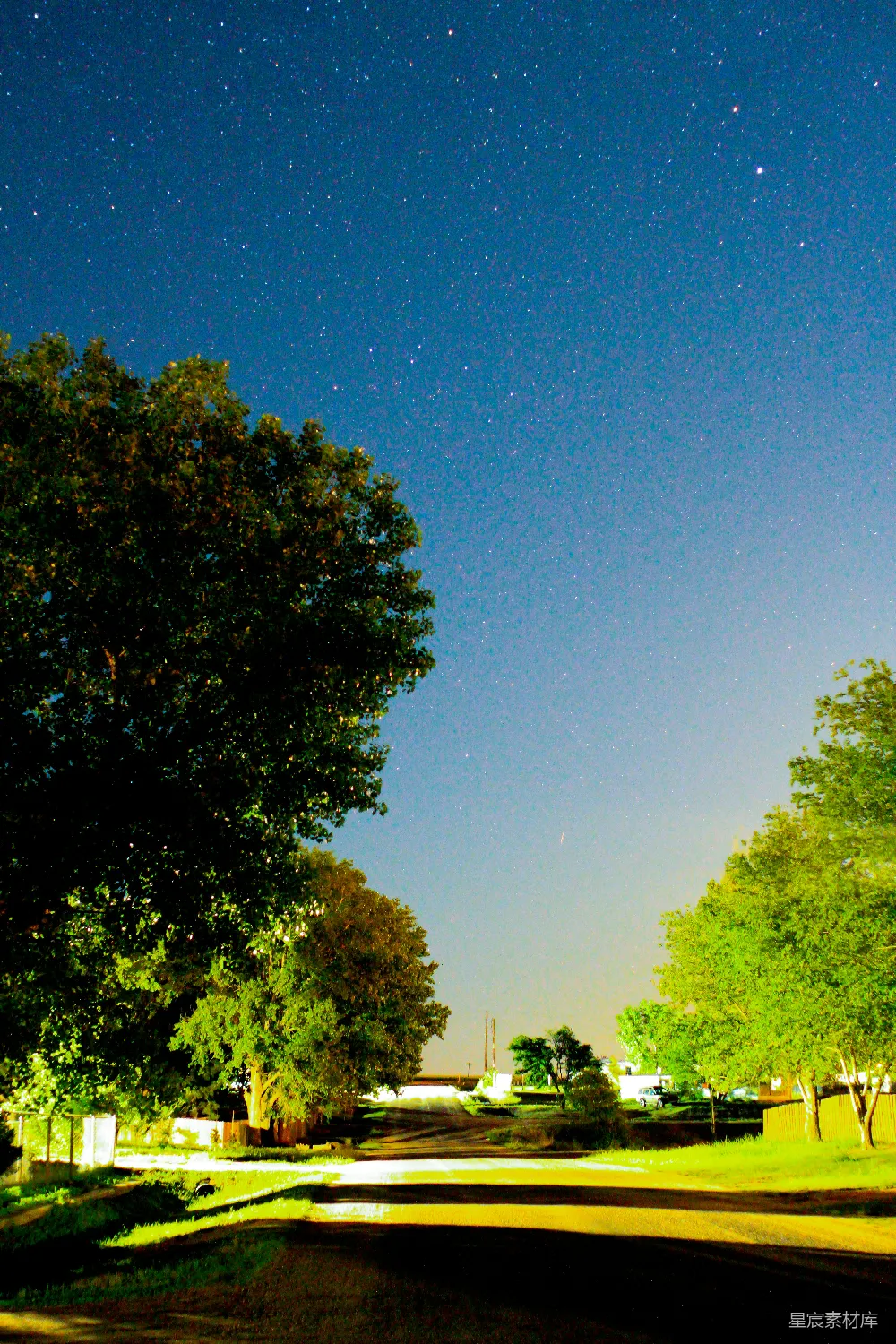 这张图片展示了一个宁静的乡村夜景，满天的星星点缀在深蓝色的夜空中，远处的树木和房屋在柔和的月光下显得格外宁静。树木的轮廓在夜色中显得格外清晰，给人一种平静和放松的感觉。适合用于表现自然美景、宁静生活或夜景摄影的主题。