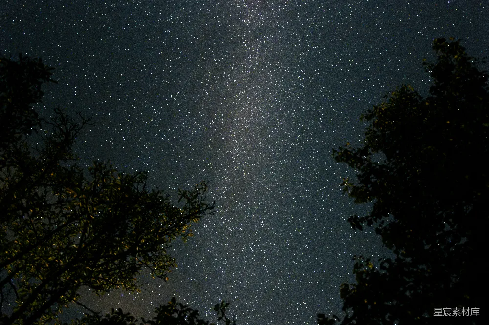 这张图片展示了夜空中璀璨的星星和银河，树木的剪影在画面两侧形成天然的框架。深邃的夜空与繁星点点的银河形成了美丽的对比，营造出一种宁静而神秘的氛围。适合用作自然风光、天文摄影或夜景主题的背景素材。