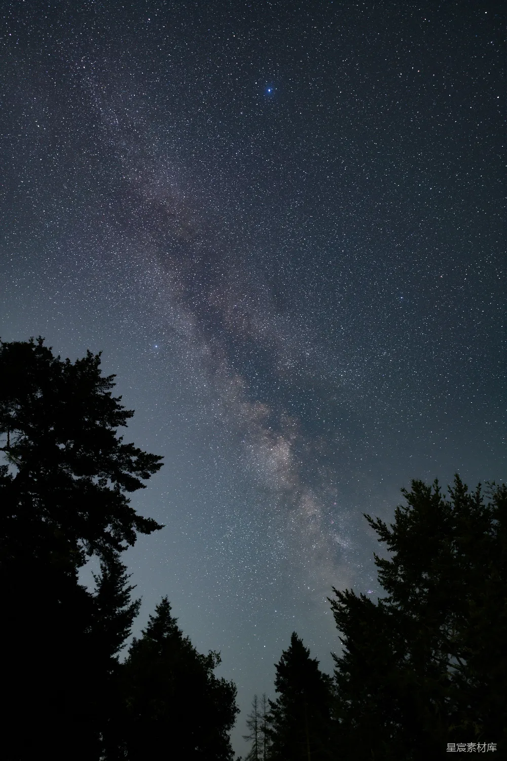 这张图片展示了夜晚星空下的银河景象。深邃的夜空布满了星星，银河清晰可见，横跨画面。前景中有几棵树木的剪影，增加了画面的层次感。整体风格宁静而美丽，适合用作自然风光或摄影爱好者的素材。