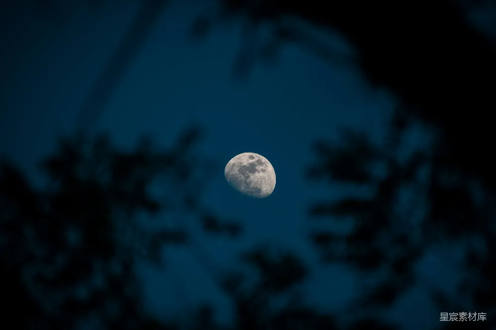 高清摄影 月亮 夜景 自然 宁静 浪漫 夜幕下的满月