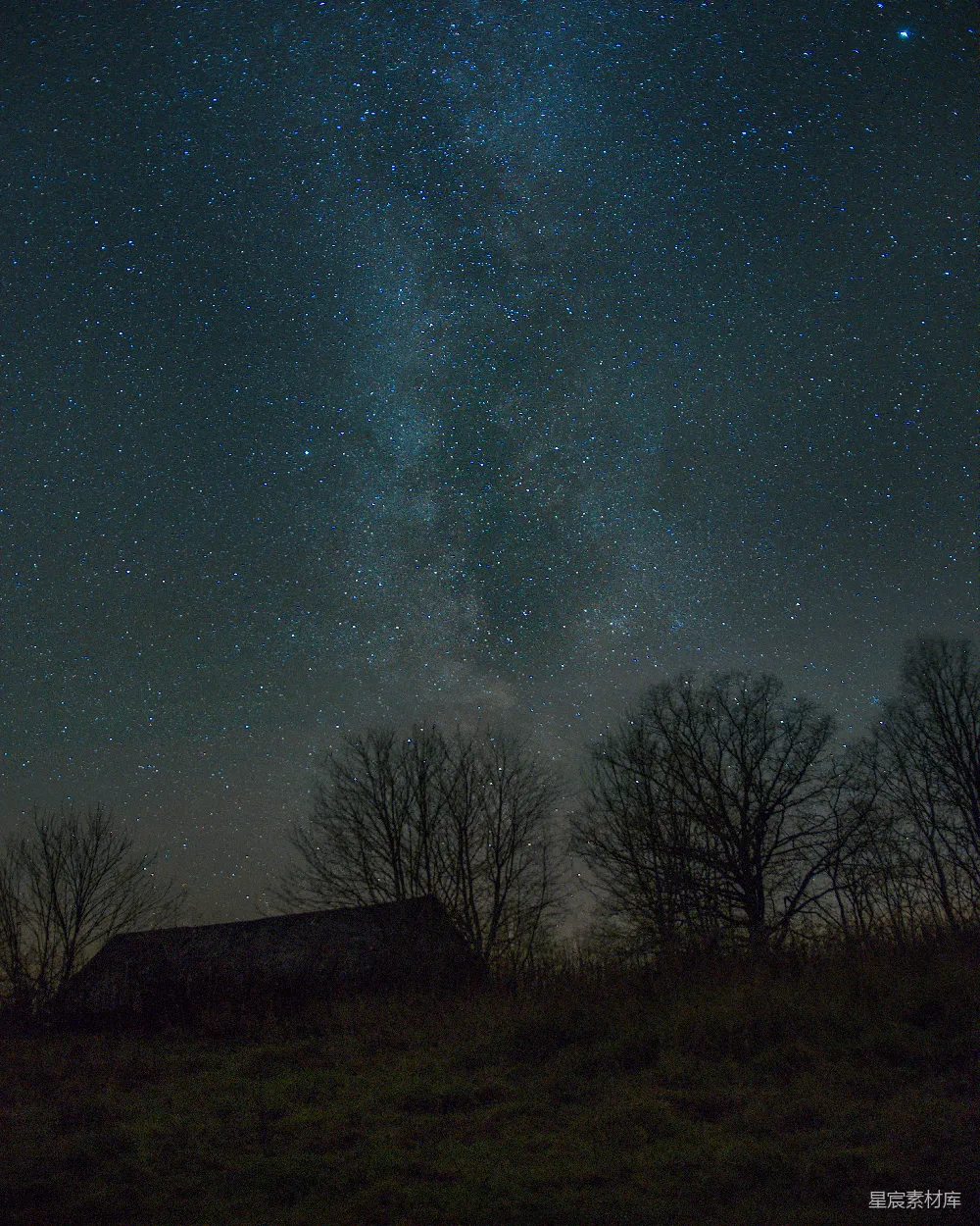 这张图片展示了一片宁静的田野，背景是繁星点点的夜空。画面中树木的剪影清晰可见，地平线上的建筑轮廓隐约可见，营造出一种宁静而神秘的氛围。这种场景非常适合用作自然风光、宁静时刻或是乡村生活主题的背景图片。