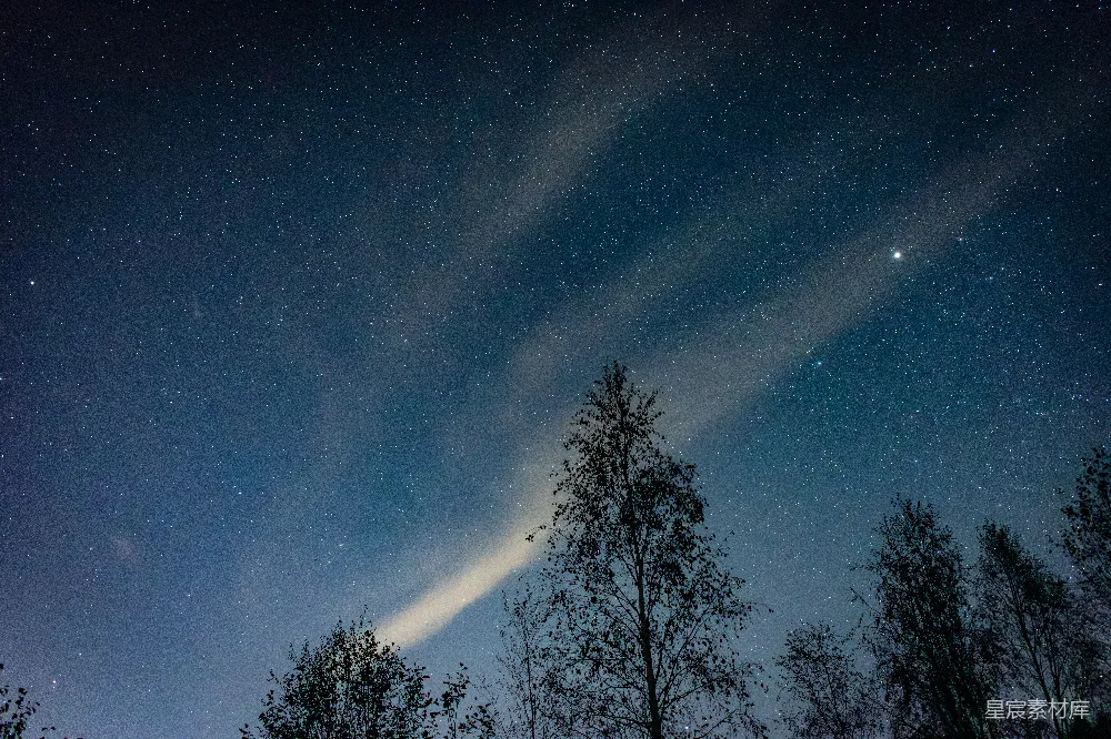 高清摄影 夜空 银河 树木 自然 宁静 夜空下的银河与树木剪影
