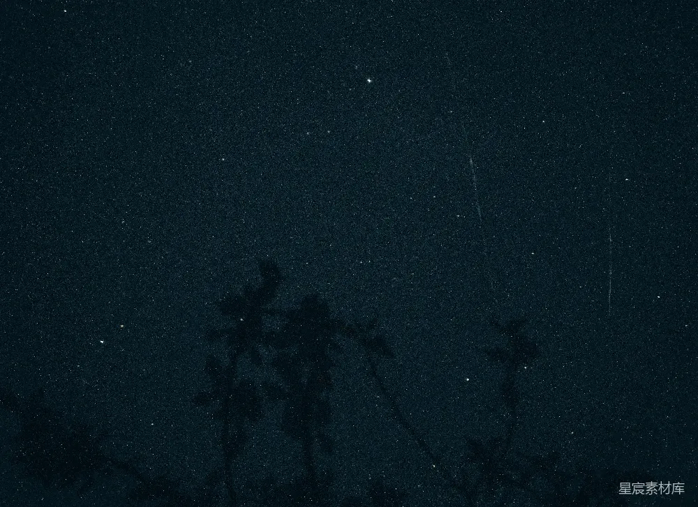 这张图片展示了夜晚的宁静场景，黑暗中树影投射在地面上，星星点缀在夜空中。整体氛围宁静而神秘，适合用于营造夜景或自然主题的背景。