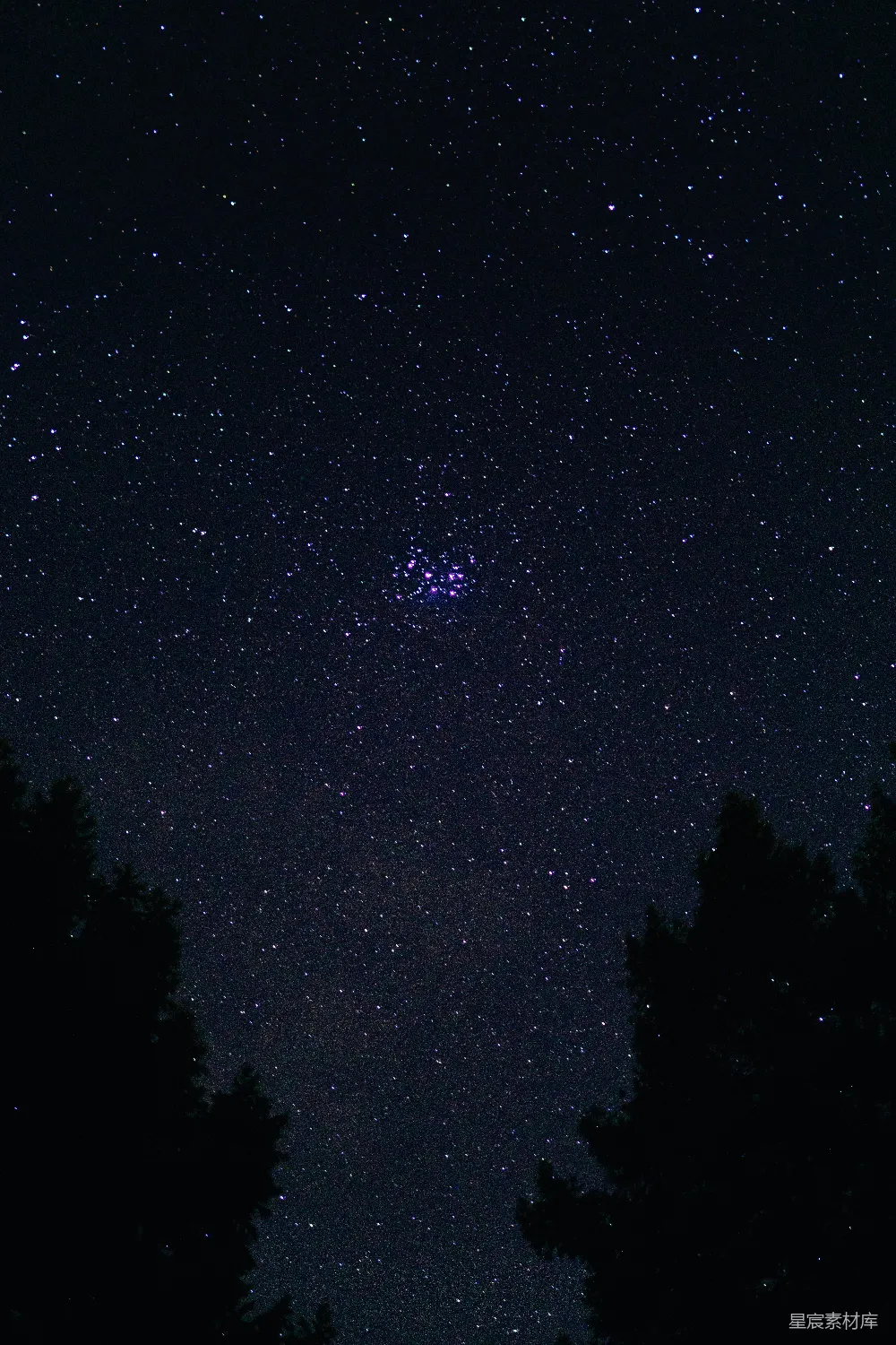 高清摄影 夜空 星星 宁静 自然 梦幻 夜空中闪烁的群星