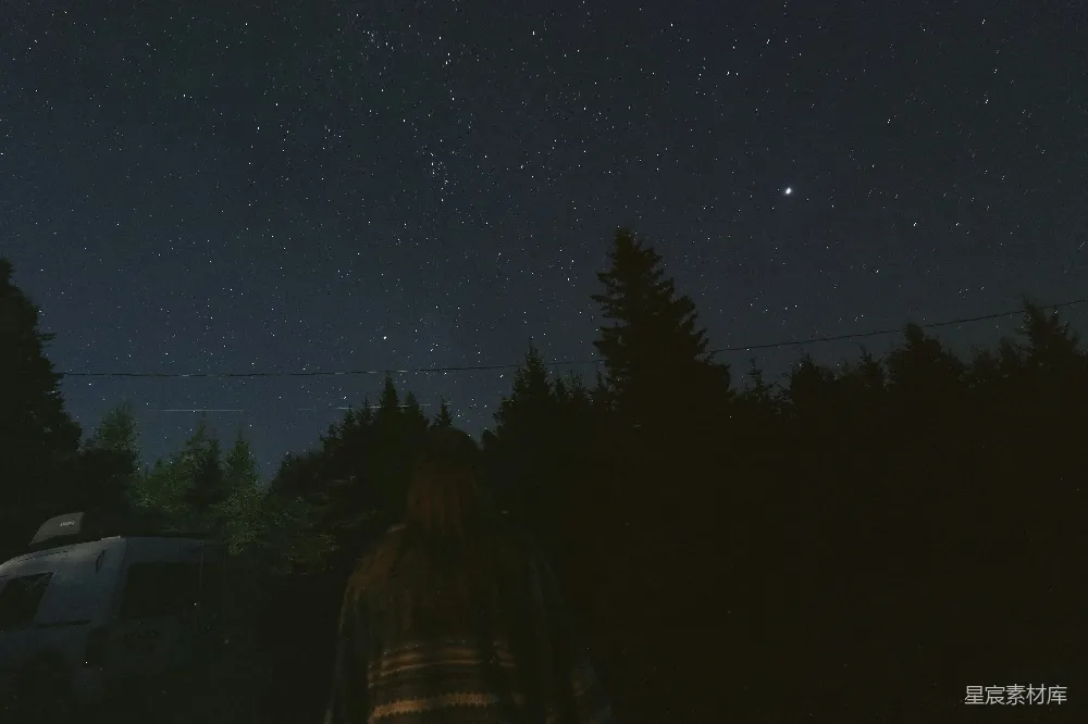 高清摄影 夜空 星空 树木 宁静 自然 夜空下的宁静