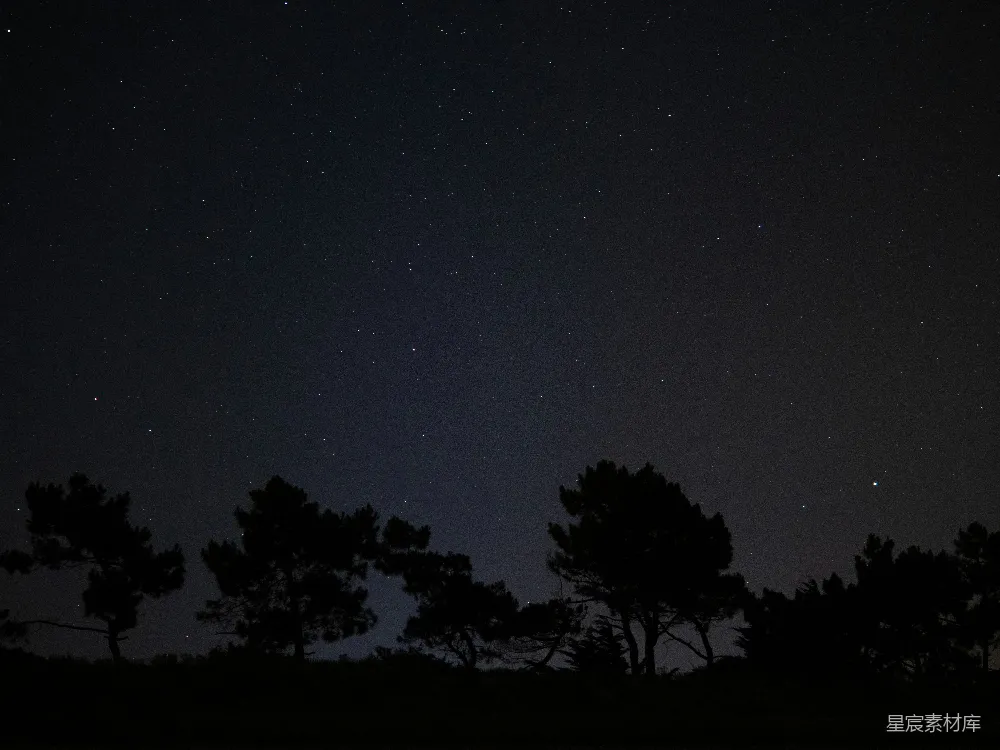 这张图片展示了一片夜空下松树的剪影，星星点缀在深蓝色的夜空中，营造出一种宁静而神秘的氛围。适合用作自然风光、宁静时刻或星空主题的背景素材。
