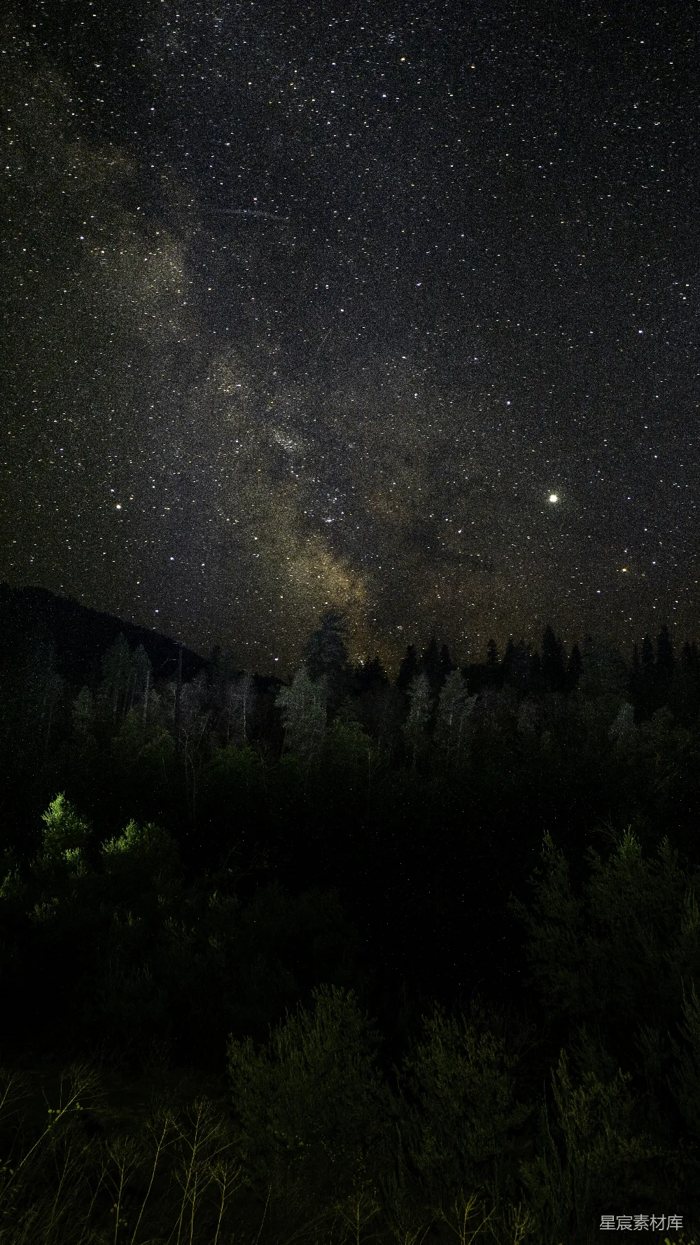 高清摄影 星空 自然 宁静 摄影 夜晚 夜空下的森林