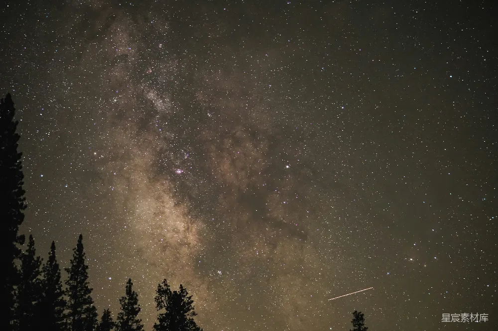 这张图片展示了一个宁静的夜晚，银河横跨天空，繁星点点，一颗流星划过夜空，背景是被剪影化的树木。整体氛围宁静而神秘，适合用作自然风光、宇宙探索或放松心情的背景。