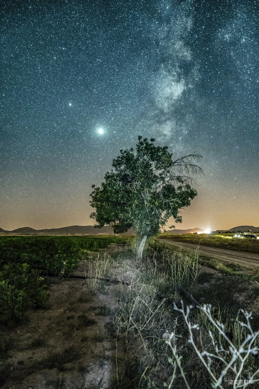 高清摄影 夜景 星空 孤独 自然 宁静 夜空下的孤树