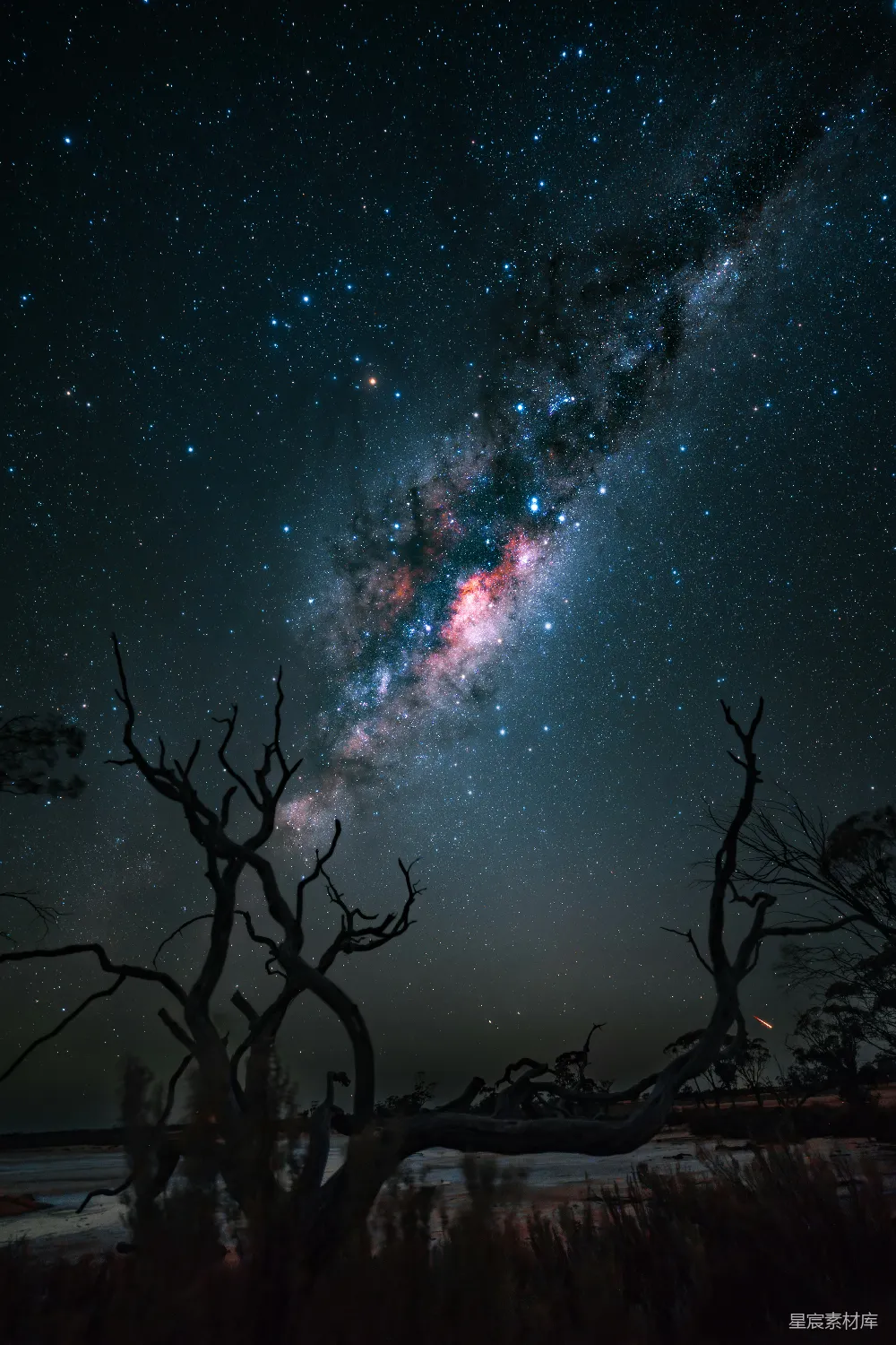 这张图片展示了夜空下孤独的树的景象。树干扭曲，似乎在诉说着岁月的故事。背景是繁星点点的星空，银河清晰可见，增添了神秘与壮丽的氛围。适合用作自然风光、宁静时刻或天文摄影的背景素材。