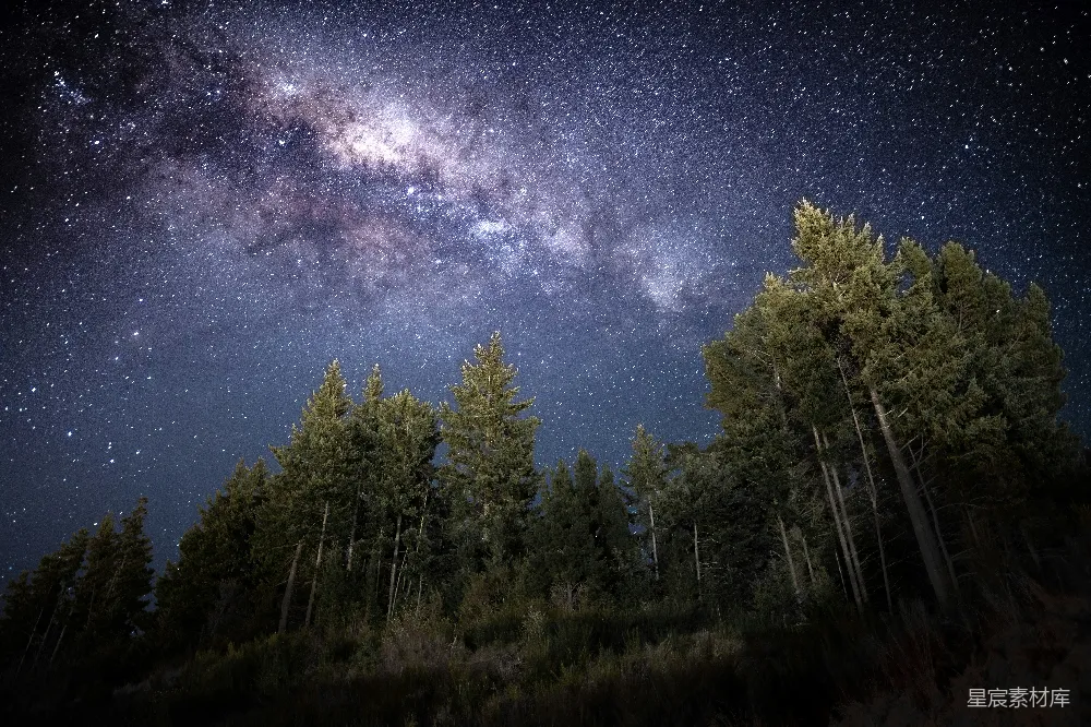 这张图片展示了夜晚森林中的景象，满天繁星和银河清晰可见，树木在星空下形成鲜明的剪影。整体风格宁静而神秘，适合用作自然风光、天文摄影或放松心情的背景素材。