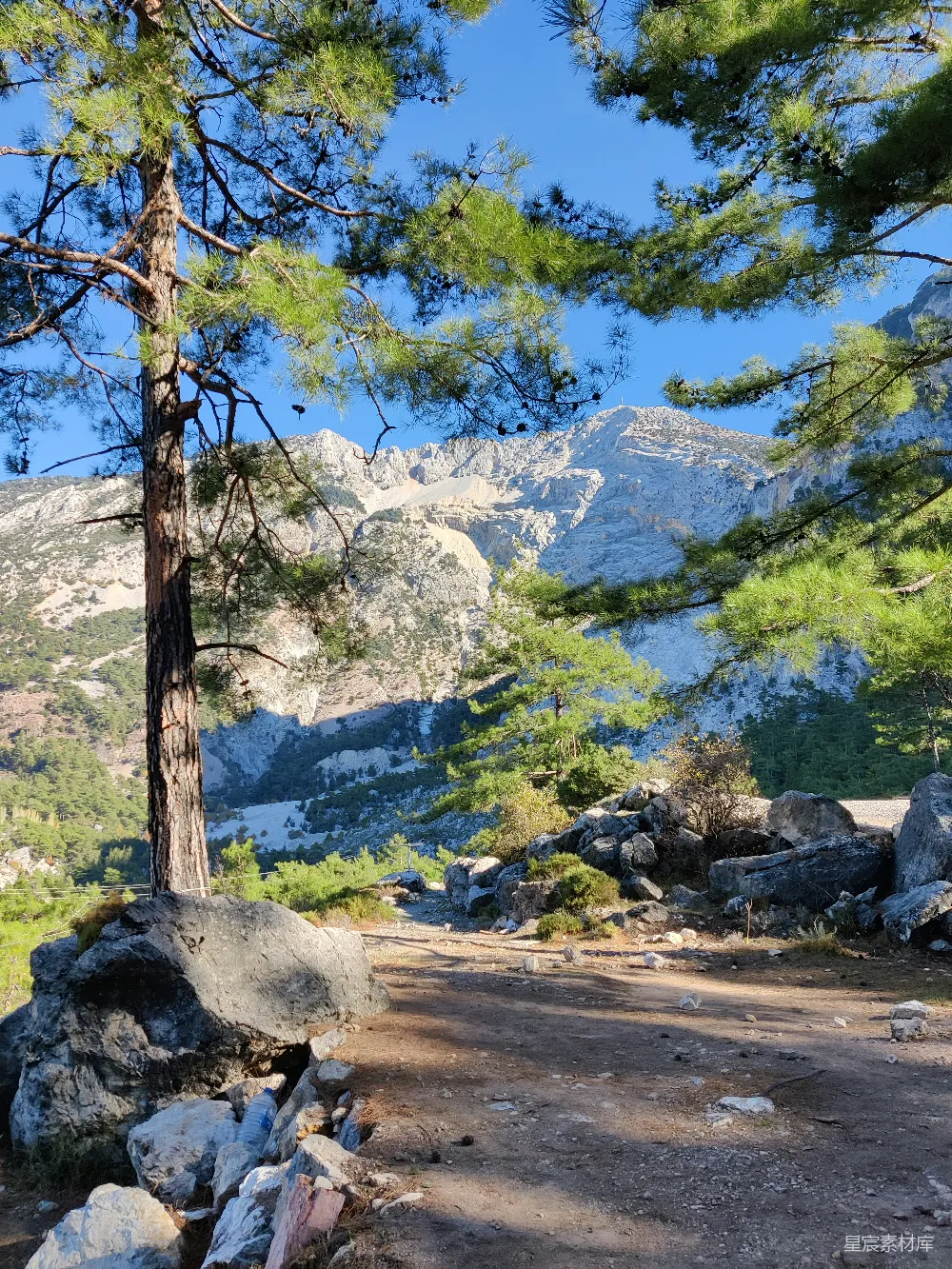 高清摄影 自然风光 户外探险 山地景观 徒步旅行 夏日美景 松树下的山景