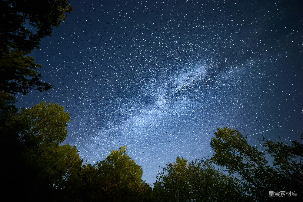 高清摄影 夜空 银河 树木 星空 自然 夜空下的银河