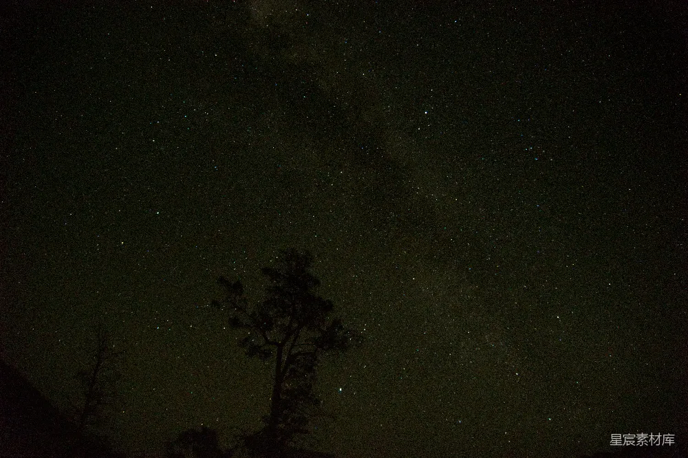 高清摄影 星空 夜景 宁静 自然 户外 星空中静默的树