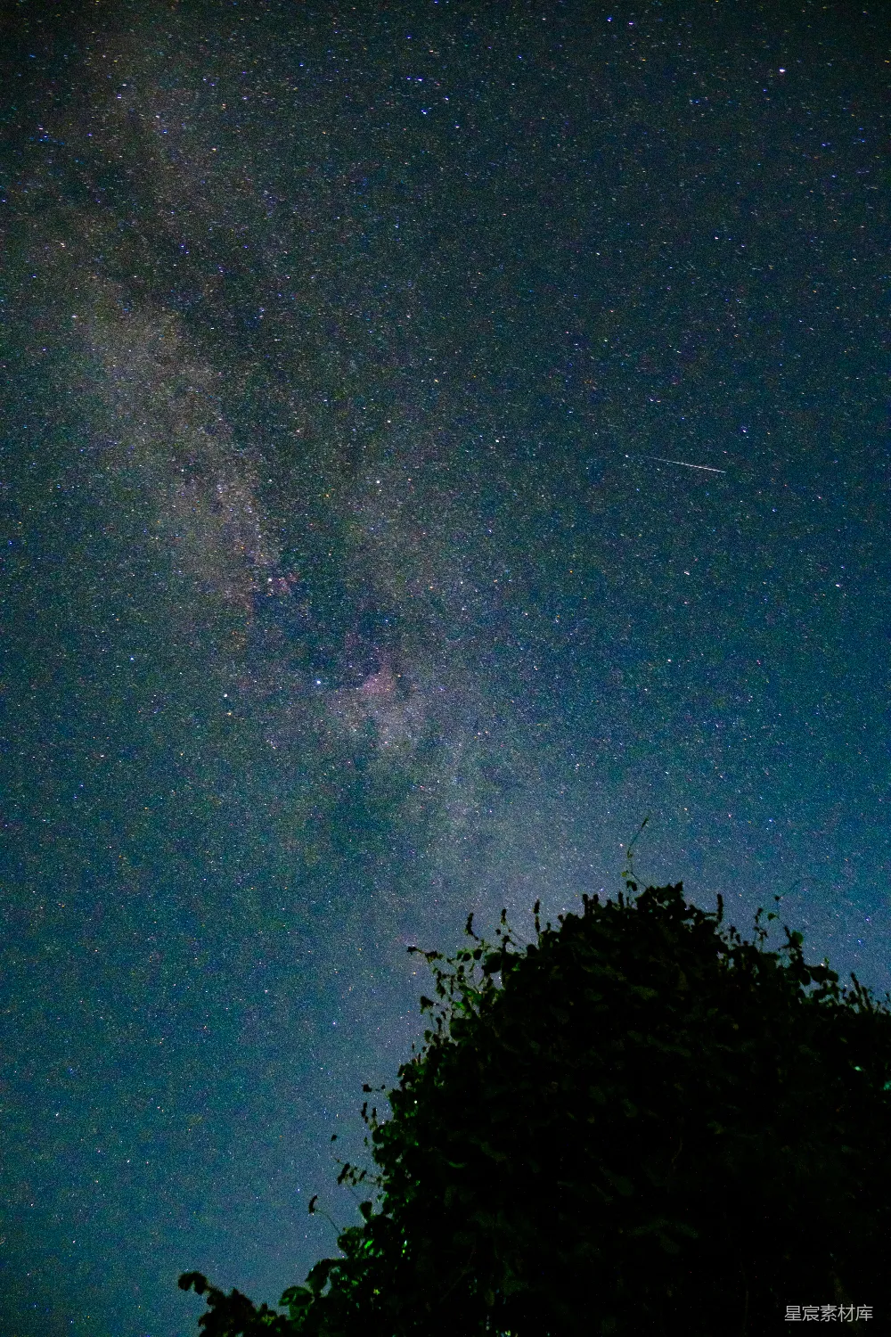 这张图片展示了夜空中繁星点点的景象，银河清晰可见，右上角有一颗流星划过。画面底部的树梢轮廓增添了自然的元素，整个场景显得宁静而神秘。适合用作自然风光、天文摄影或宁静氛围的背景素材。