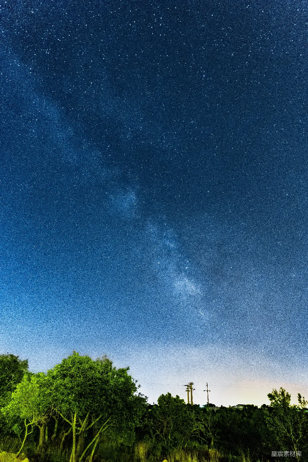 高清摄影 夜空 星星 树木 宁静 自然 星空下的静谧夜晚