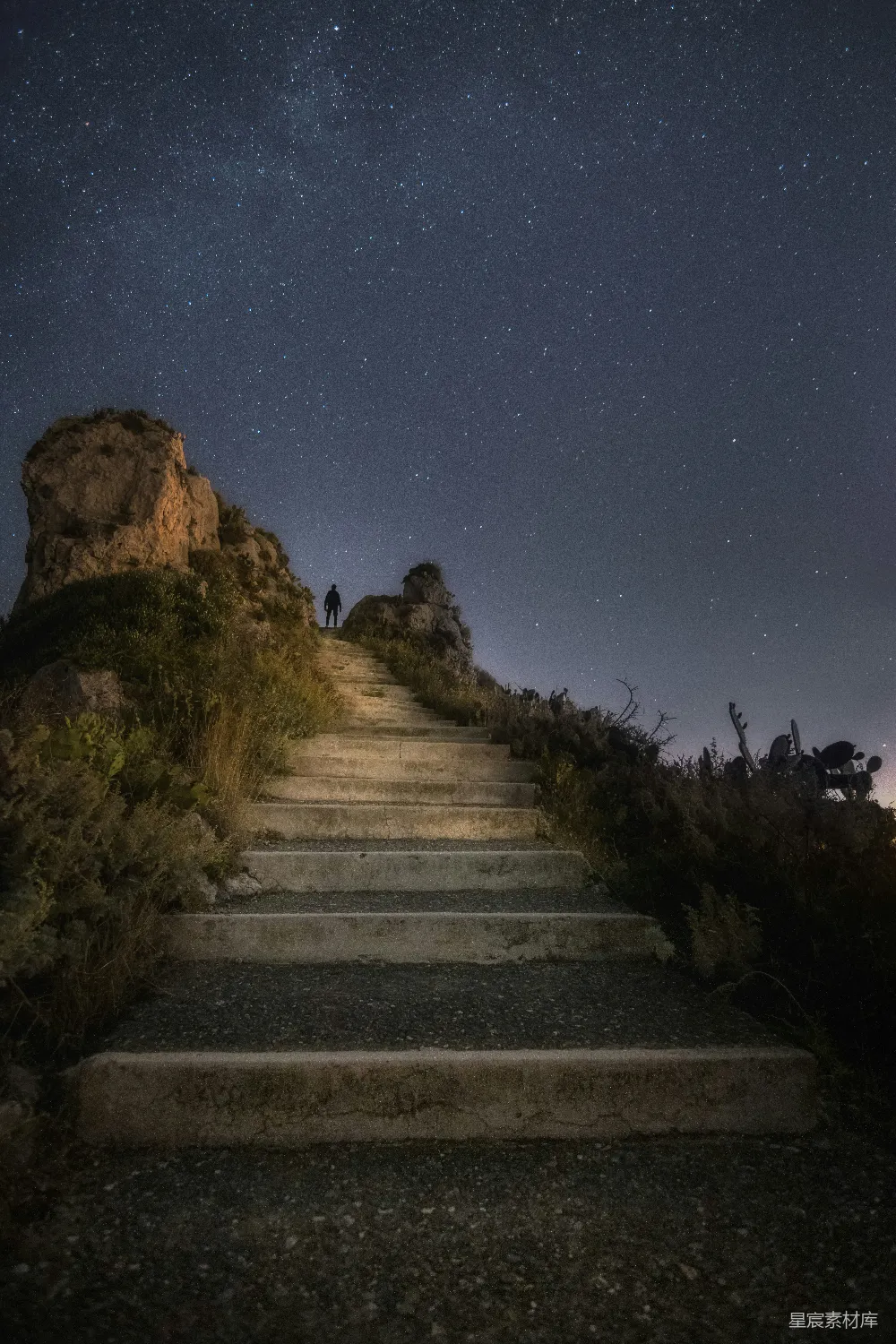 图片展示了一条通往星空的石阶，夜晚的氛围中，繁星点点，石阶旁是枯草和仙人掌，远处一个人影伫立，营造出一种宁静而神秘的氛围。适合用作自然风光、夜景摄影、旅行摄影的背景图。