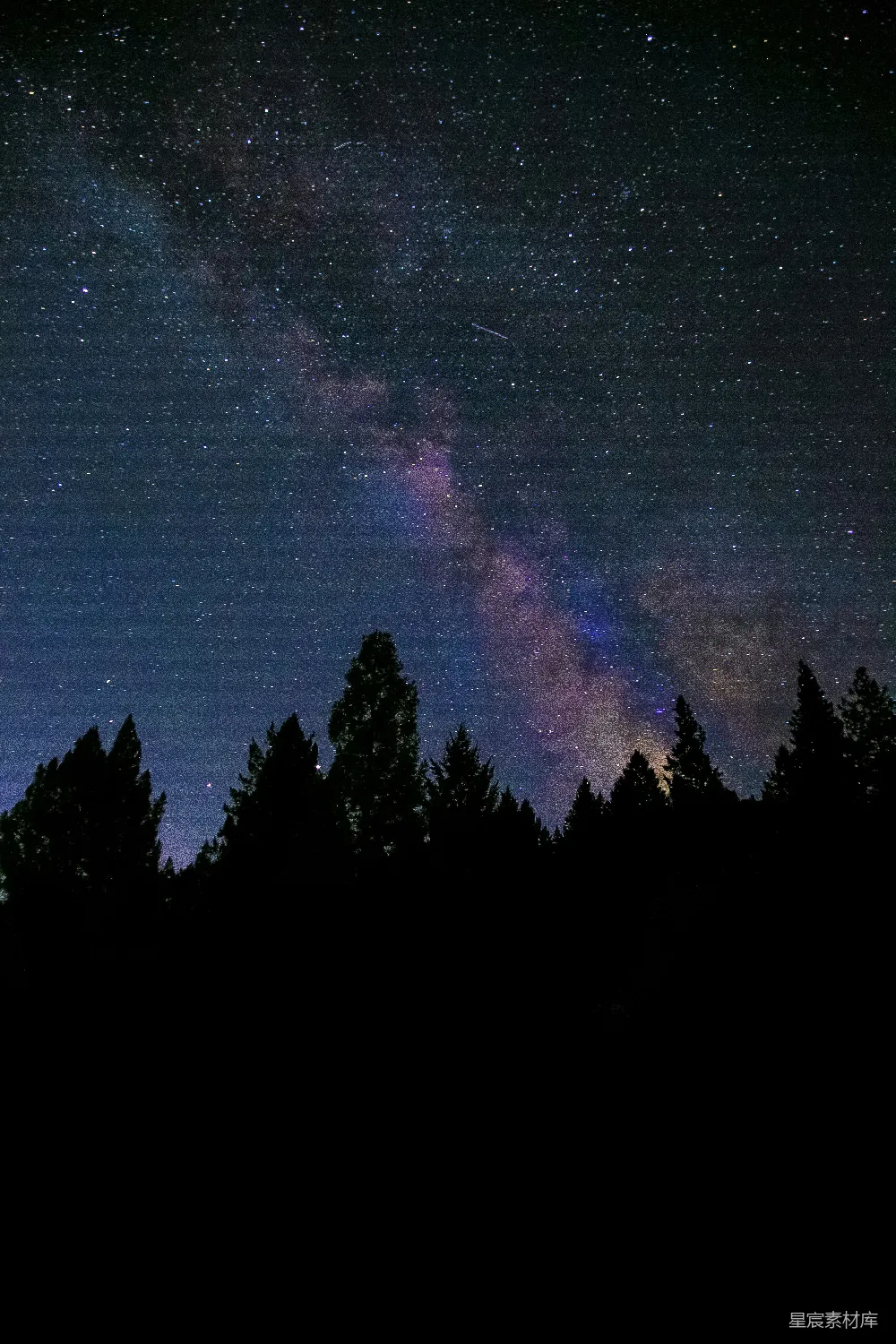 高清摄影 银河 夜景 森林 星空 自然 银河夜景下的森林剪影