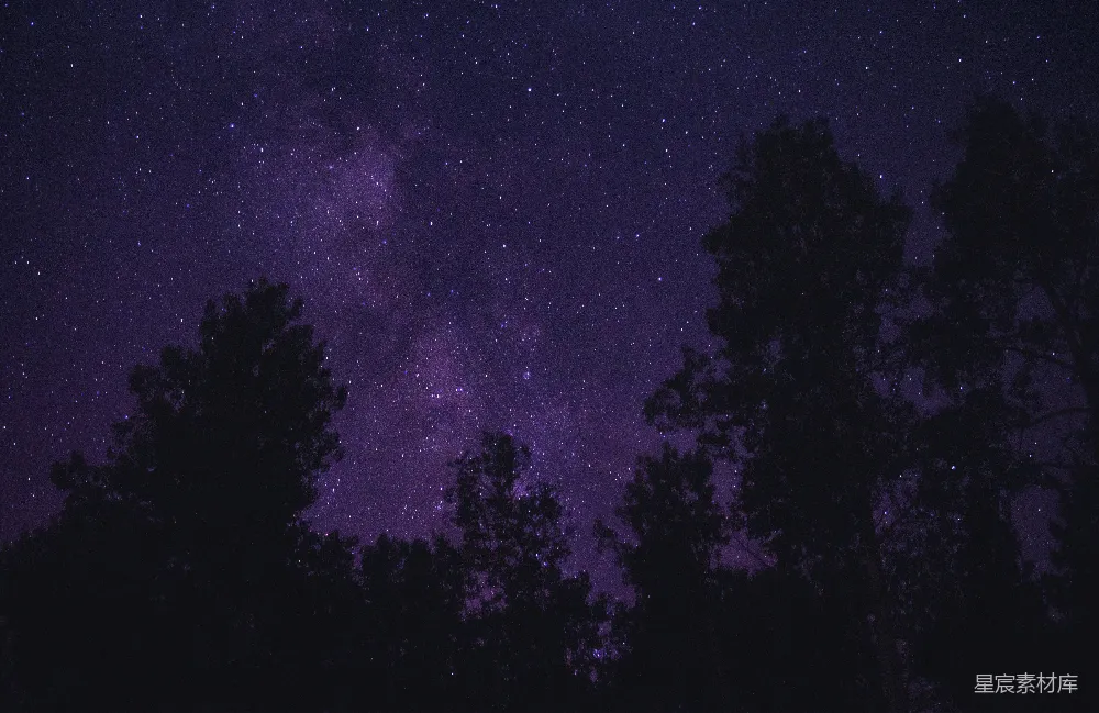 高清摄影 星空 夜景 自然 宁静 梦幻 夜幕下的星河与树影