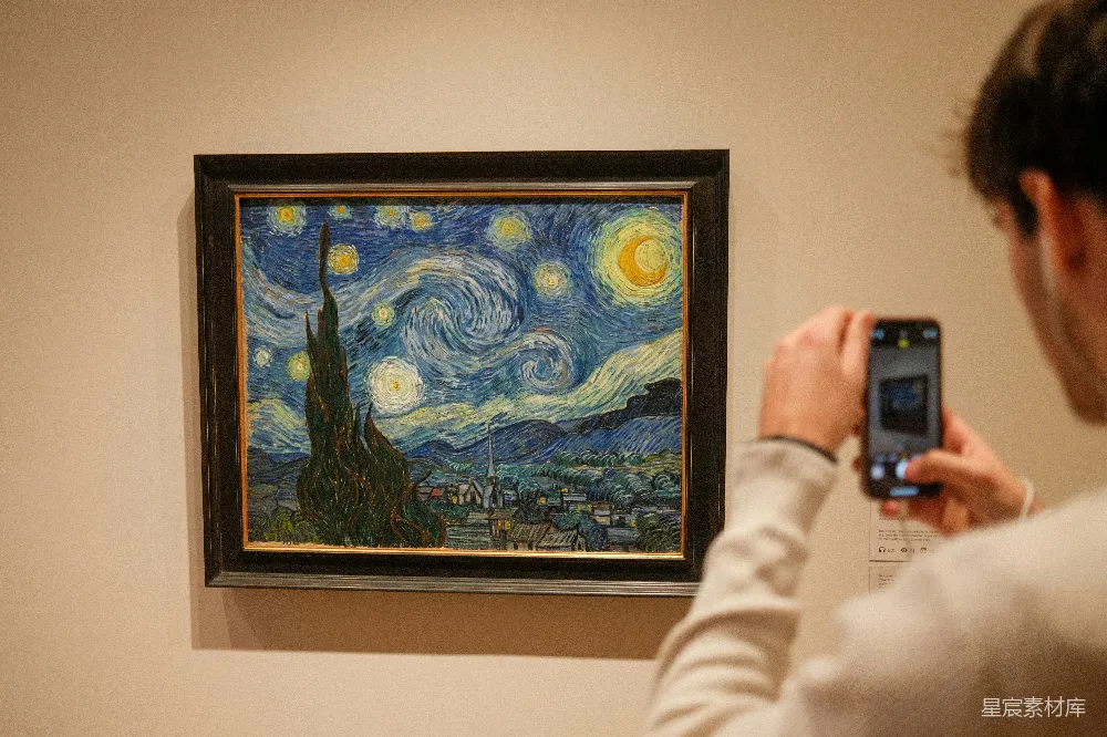 高清摄影 梵高 艺术欣赏 博物馆 现代科技 艺术与技术 星夜中的自拍