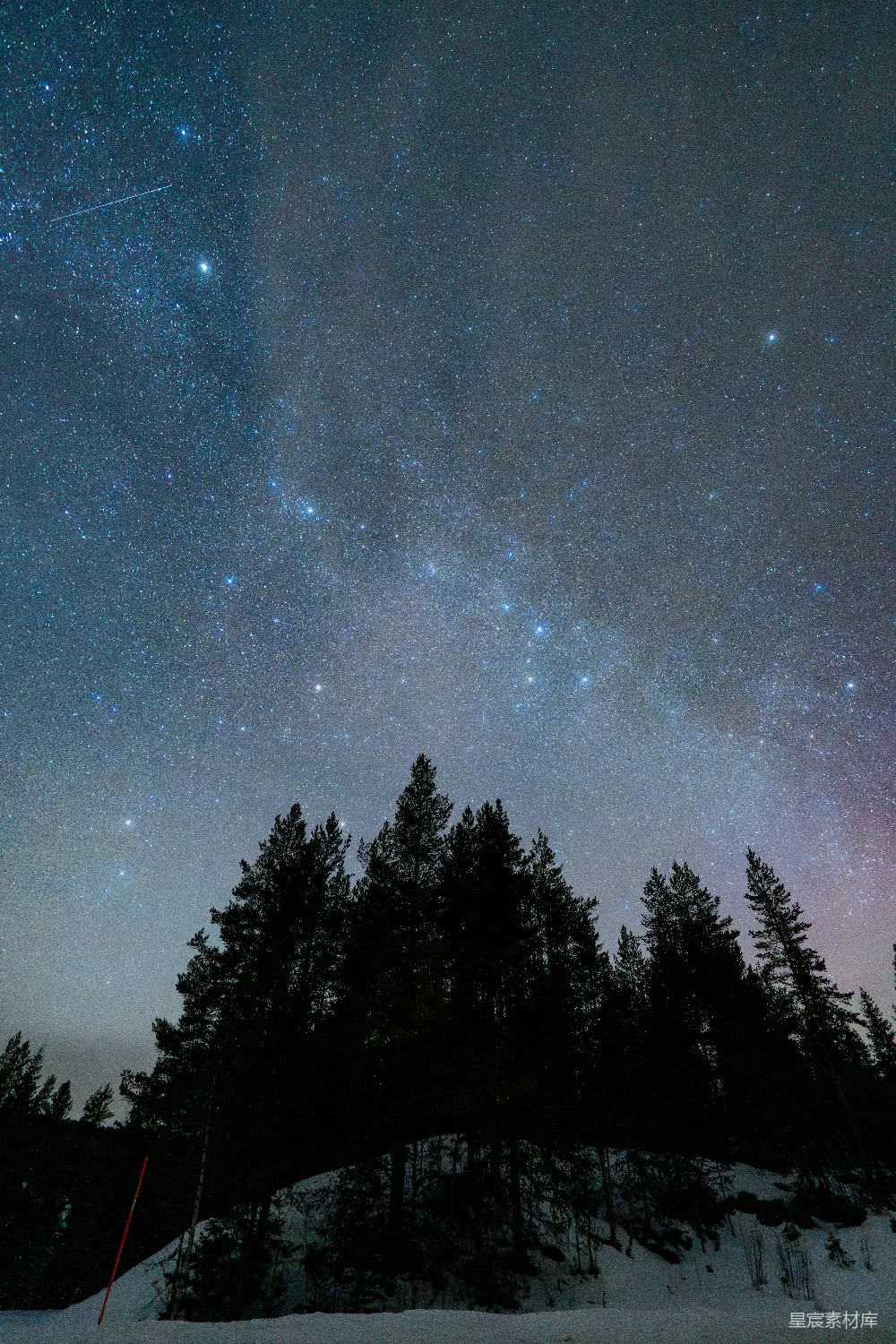 高清摄影 夜晚 星空 树木 宁静 自然 星河下的冬夜森林