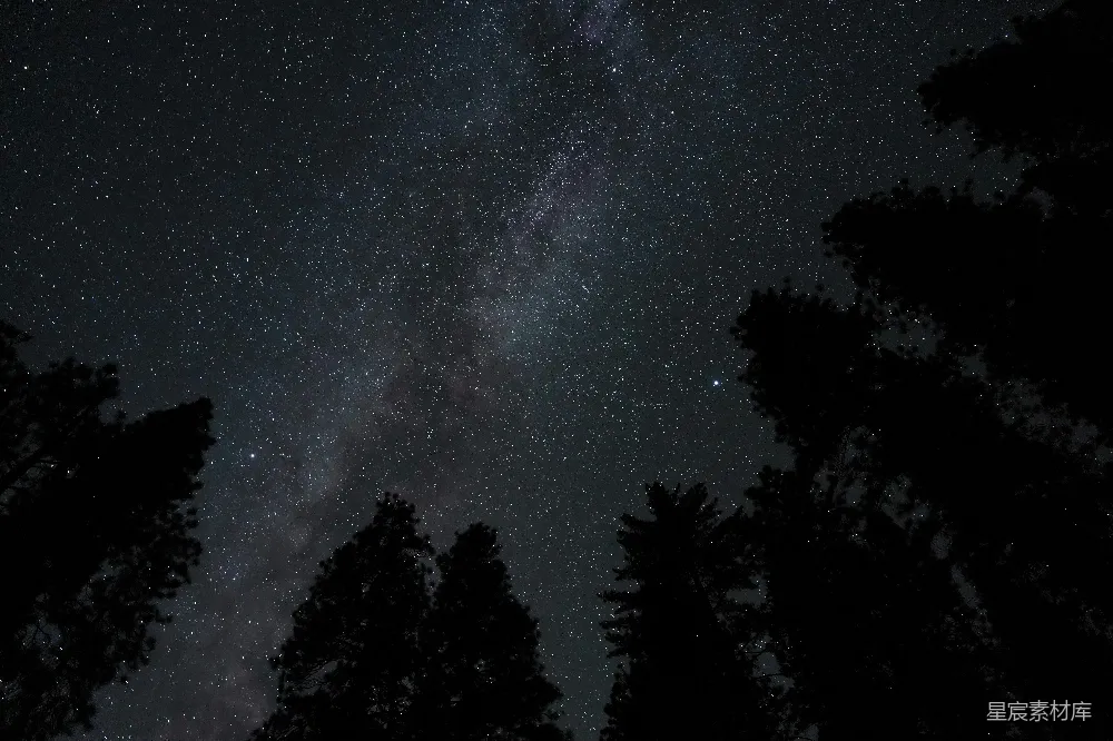 高清摄影 夜景 星空 树木 宁静 自然 夜空中繁星点点