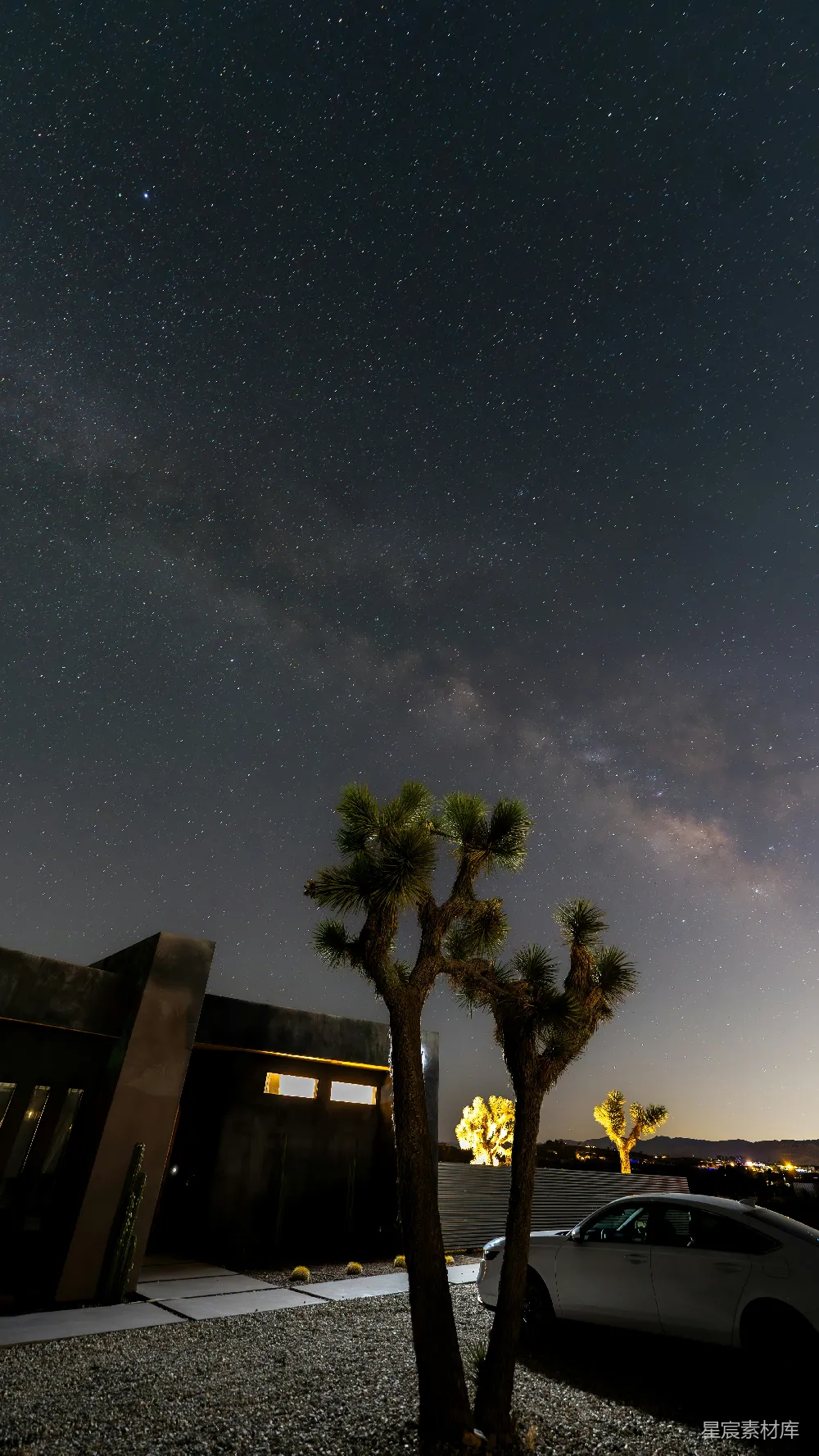 这是一张展示沙漠夜景的照片，天空中布满了星星和银河，地面上有几棵仙人掌和一些建筑。背景中可以看到建筑物的灯光和远处的城市轮廓。这张照片捕捉到了大自然的宁静与人类建筑的融合。