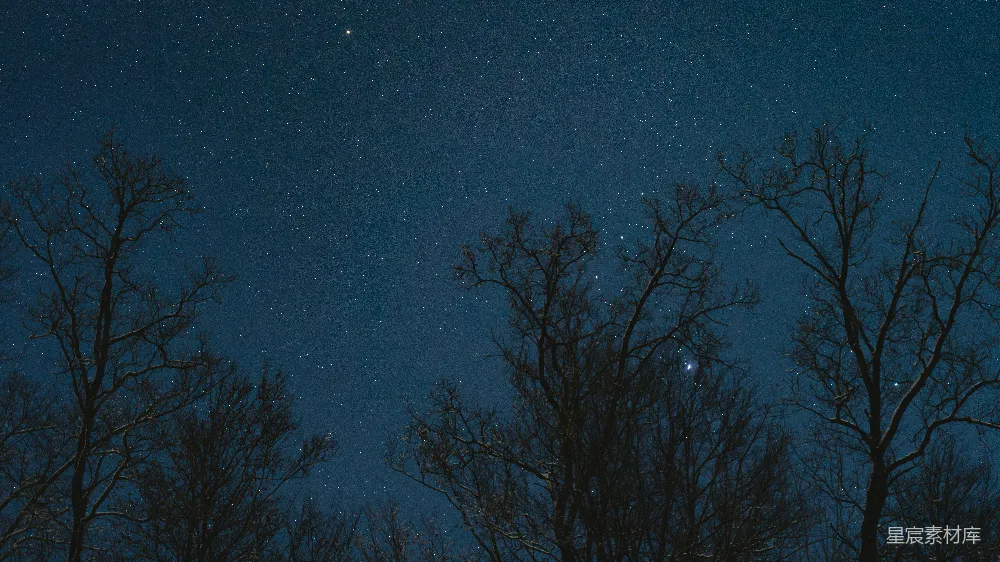 高清摄影 星空 冬季 自然 宁静 夜晚 冬夜星空下的枯树剪影