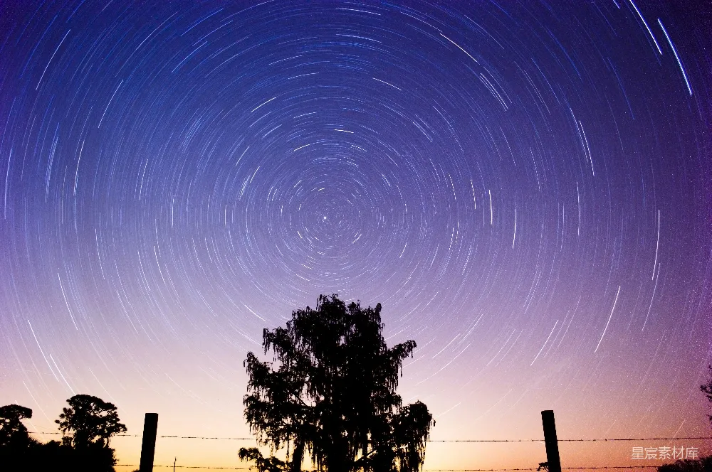 这张图片展示了夜空中星轨的迷人景象，星轨由长时间曝光拍摄而成，形成了一圈圈的轨迹，背景是深邃的夜空和几棵剪影树，营造出一种宁静而神秘的氛围。