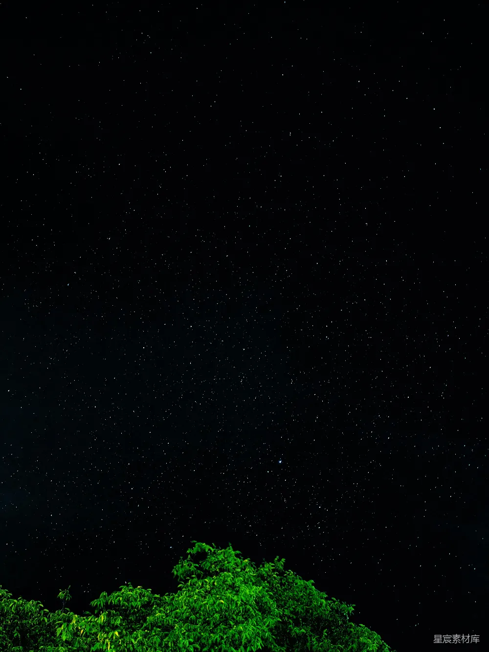高清摄影 星空 自然 宁静 夜晚 风景 夜空中繁星点点