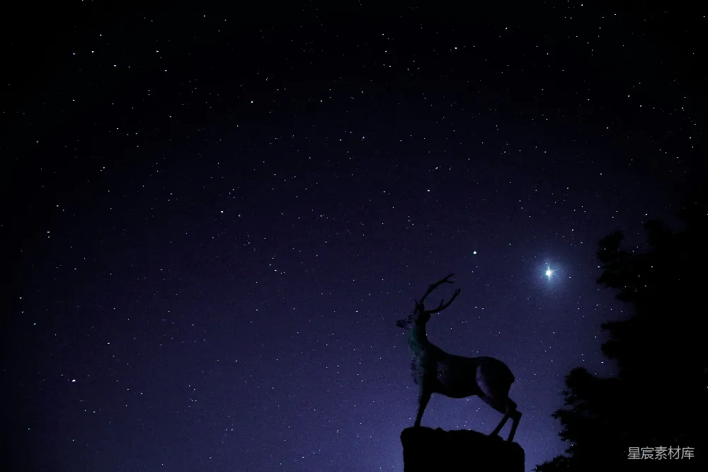 这张图片展示了夜晚的夜空，繁星点点，一只鹿的雕塑在画面中央，显得格外突出。雕塑的轮廓在星光的映衬下显得格外清晰，营造出一种宁静而神秘的氛围。适合用作自然风光、艺术创作或静谧夜景的背景。