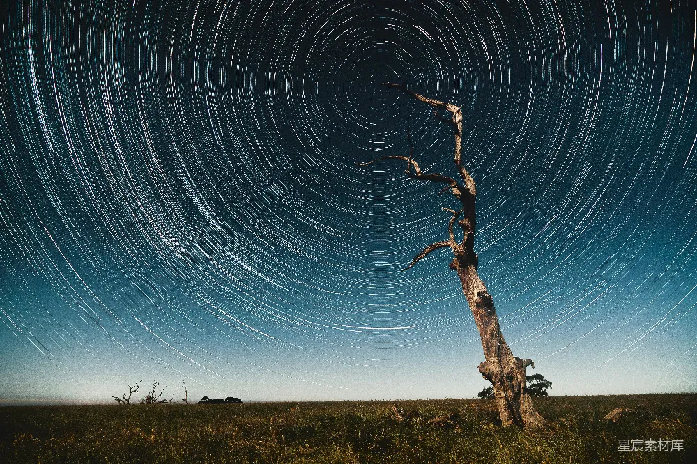 这张图片展示了夜空中星河旋转的迷人景象，其中一棵孤独的枯树位于前景，背景是深邃的夜空和模糊的星轨。这种独特的构图和自然与人造元素的结合，创造出一种既宁静又神秘的氛围。适合用于展现自然之美、艺术摄影或夜景主题的背景设计。