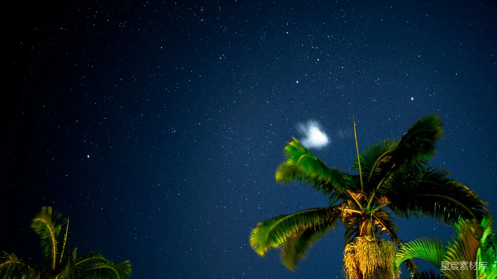 这张图片展示了夜晚的天空，繁星点点，月亮隐约可见。画面的右下角是一棵高大的椰子树，树叶在微风中轻轻摇曳，营造出一种宁静而祥和的氛围。适合用作自然风光、旅游宣传或静谧夜晚的背景。