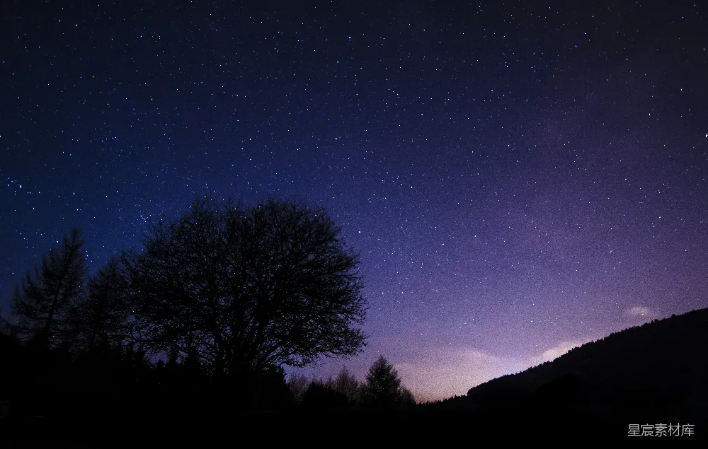 高清摄影 夜景 星空 自然 寂静 宁静 夜空下的孤独树