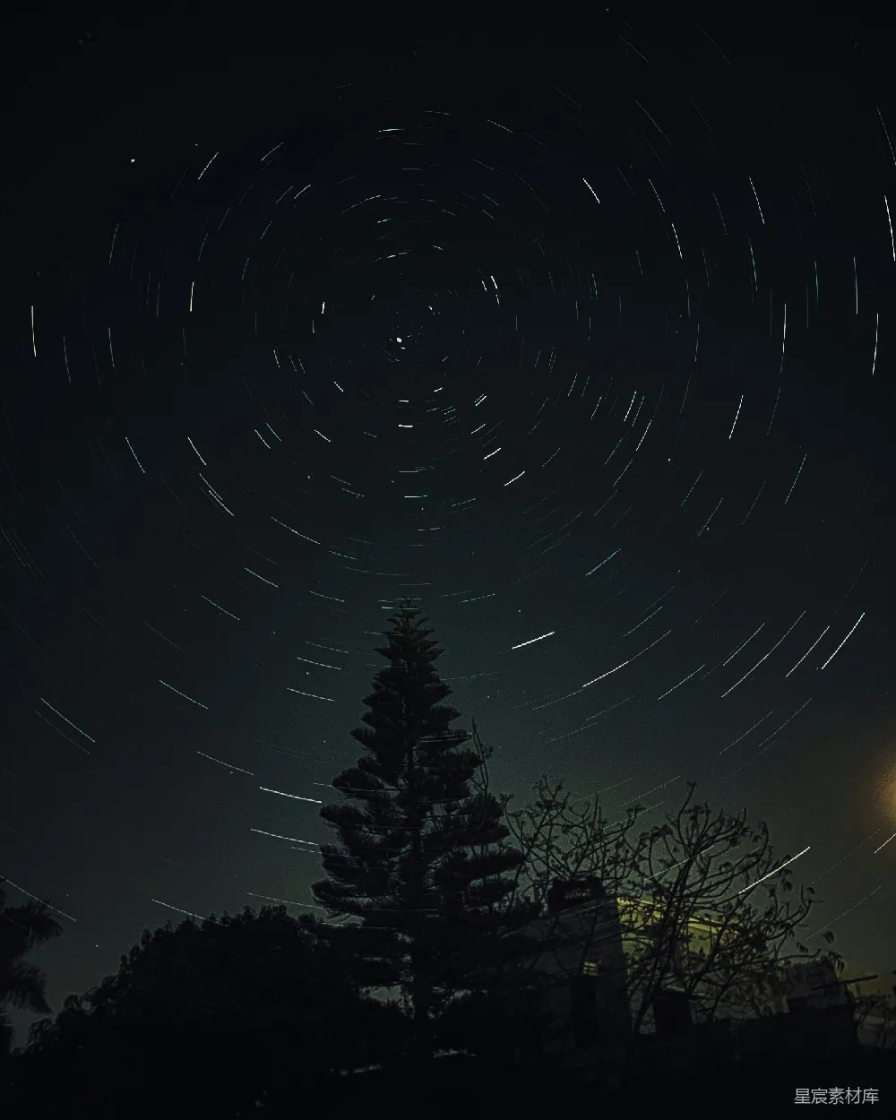 这张图片展示了夜晚天空中的星轨，星星的轨迹形成了一个旋转的图案。前景是一棵高大的松树，为夜空增添了神秘感。整体画面呈现出宁静而美丽的自然景象，适合用于天文摄影或自然风光的展示。