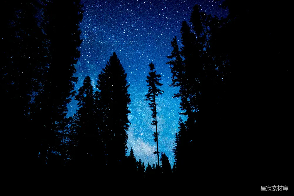 这张图片展示了夜空中繁星点点的场景，下方是剪影般的森林。树木的轮廓在深蓝色的夜空中显得格外突出，营造出一种宁静而神秘的氛围。适合用于自然风光、夜景摄影、户外探险等场景。