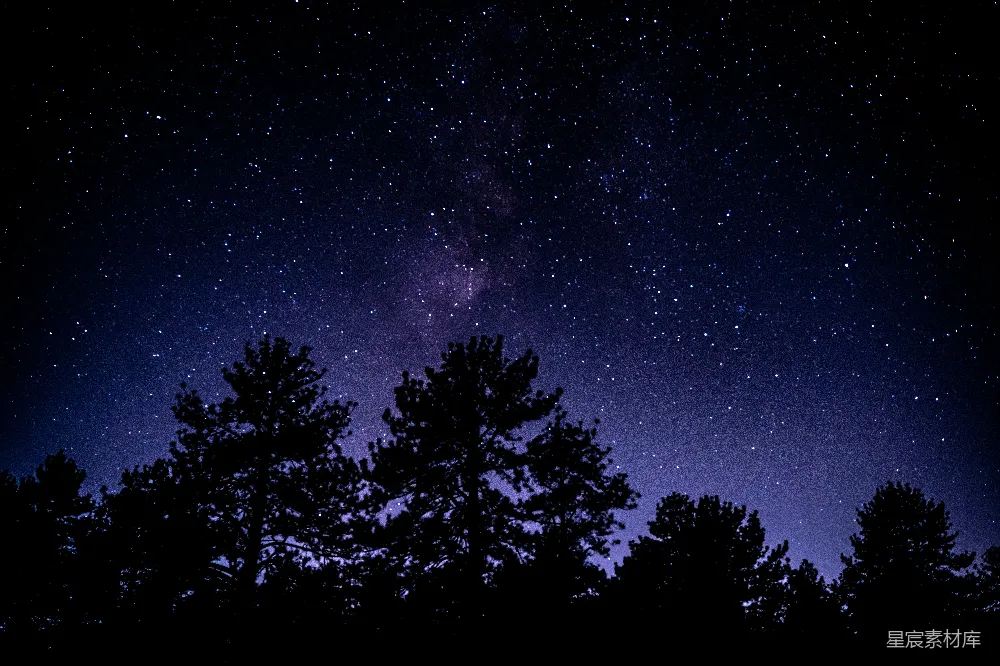 高清摄影 夜空 松林 星河 宁静 自然 夜空下的松林