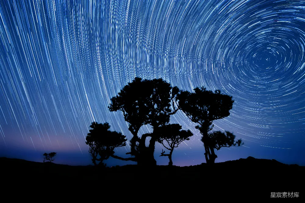 高清摄影 夜空 星轨 自然 宁静 摄影 星轨下的树影