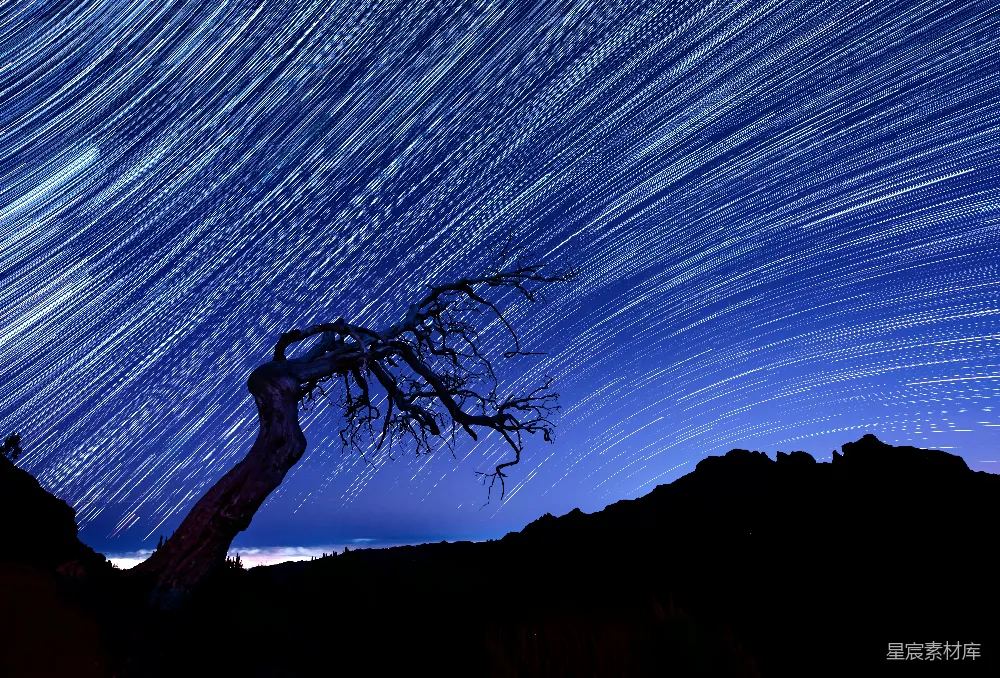 高清摄影 星空 自然 夜景 静谧 浪漫 银河下的古树