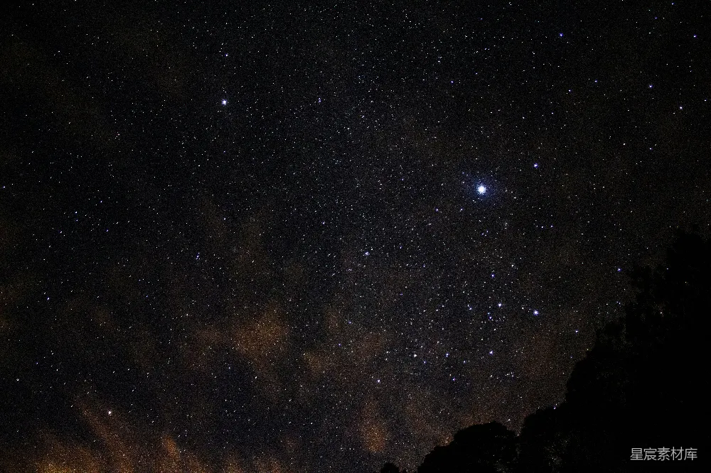 这张图片展示了夜空下的璀璨星空，星星点点，仿佛银河倾泻而下。深邃的黑暗中散布着成千上万颗星，其中几颗尤为明亮，照亮了夜空。在图片的下方，隐约可见暗影中的树木轮廓，为这幅宁静的夜景增添了一抹神秘感。